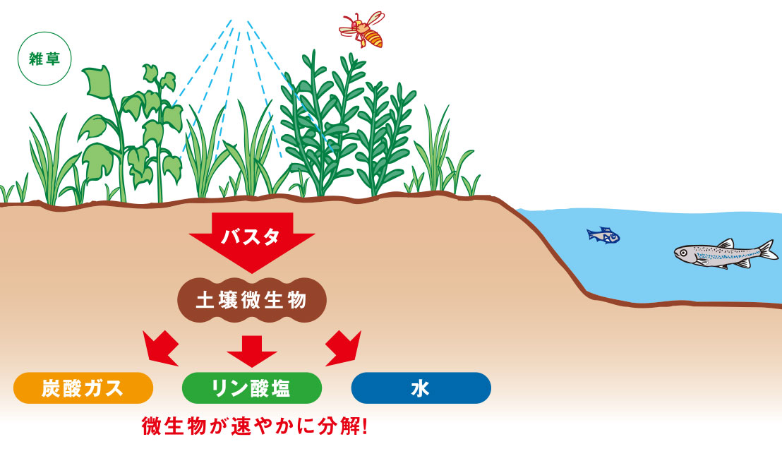 人と自然環境にやさしい