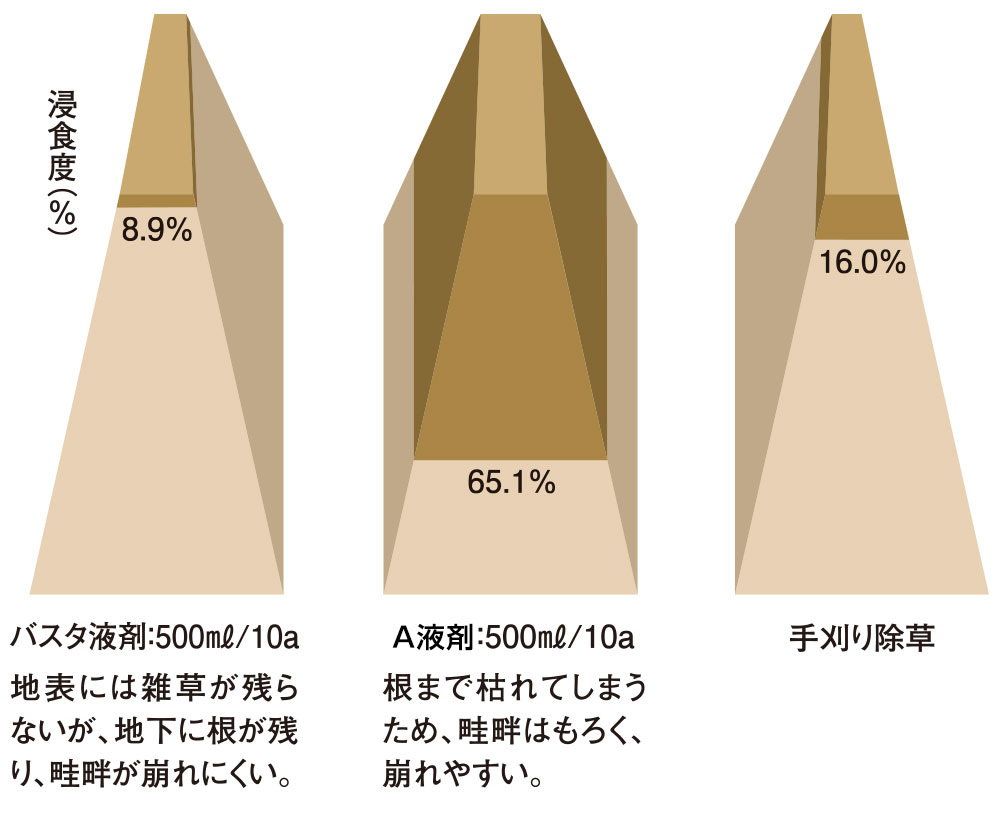 畦畔を崩さない