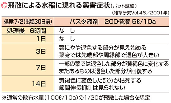 飛散による水稲に現れる薬害症状