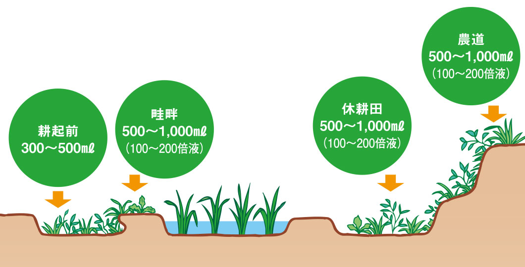 使用場所と使い方