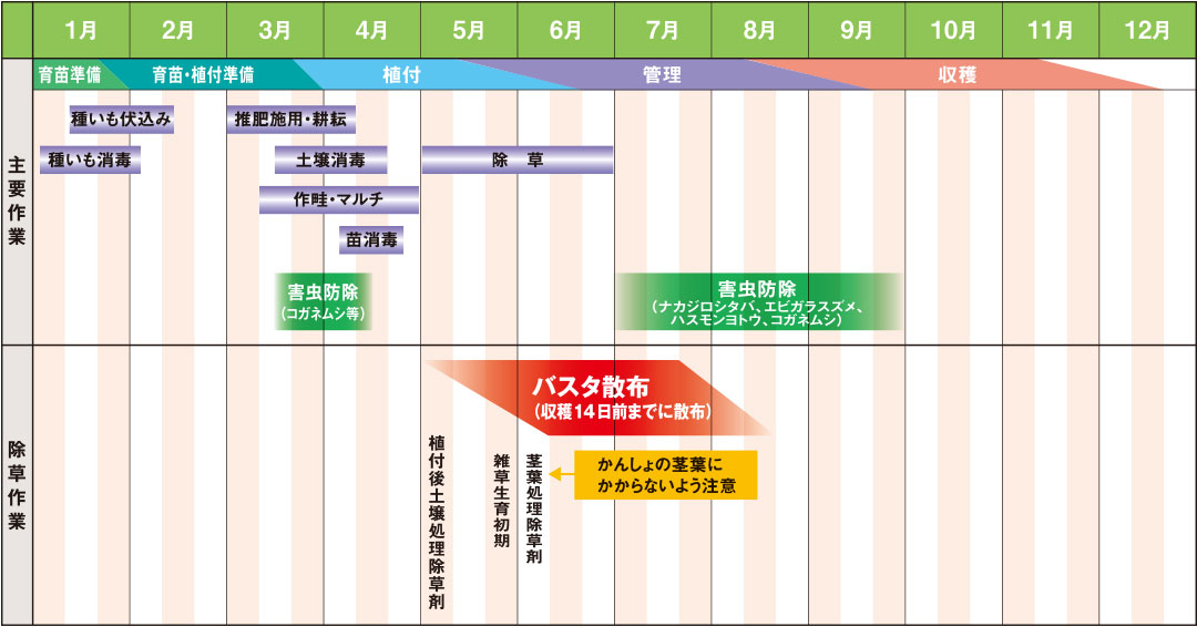 鹿児島県でのかんしょの栽培管理ごよみ（参考例）